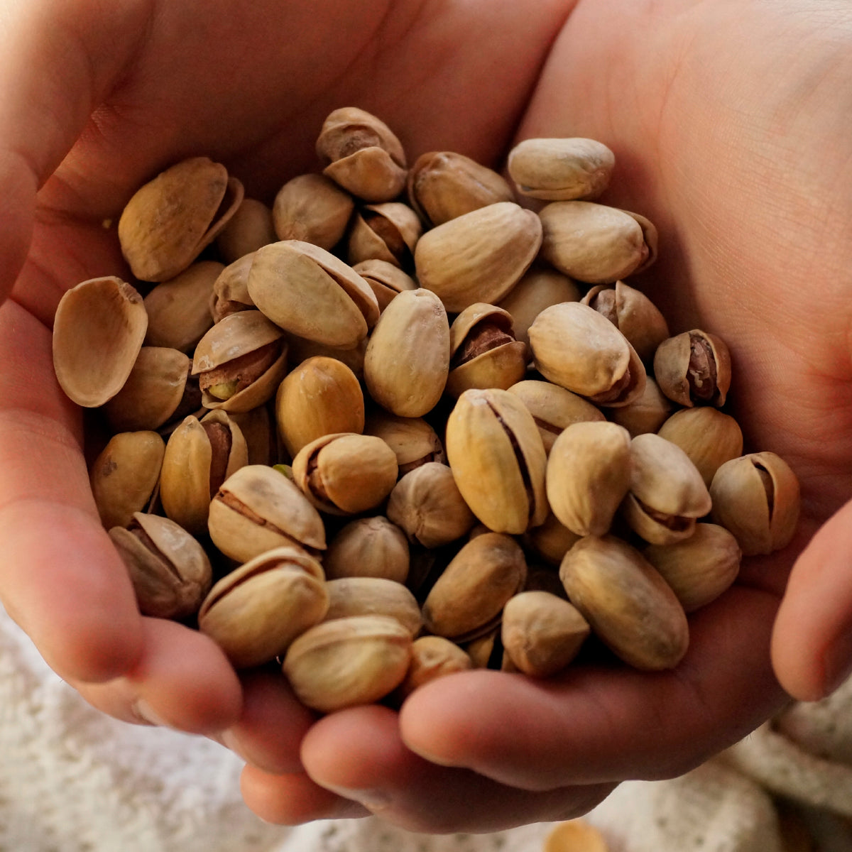 Pistachio Large Box / 12 pcs